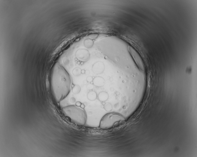 X0000115110347200912081326