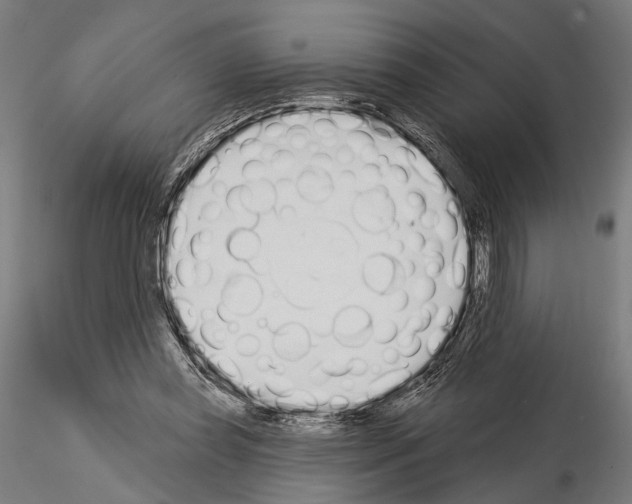 X0000115110349200912081326