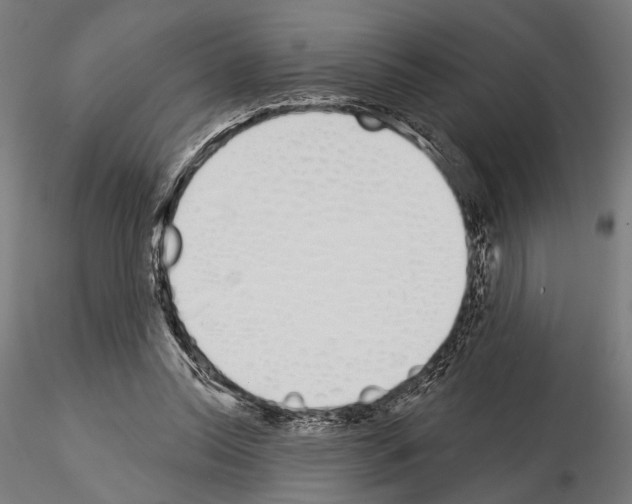 X0000115110350200912081326