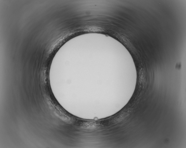 X0000115110351200912081326