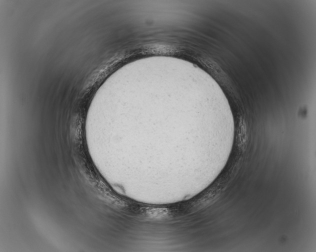 X0000115110355200912081326