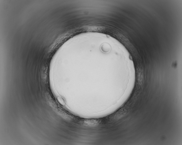 X0000115110357200912081326