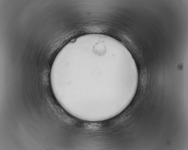 X0000115110359200912081326