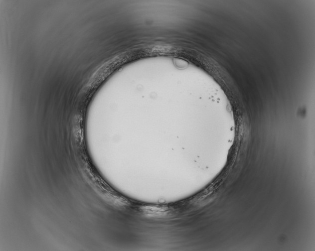 X0000115110361200912081326