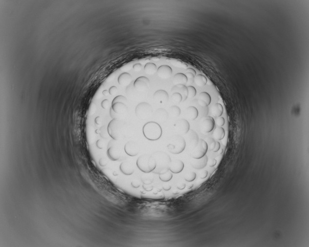 X0000115110366200912081326