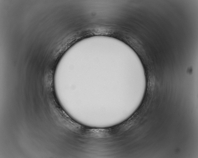 X0000115110367200912081326