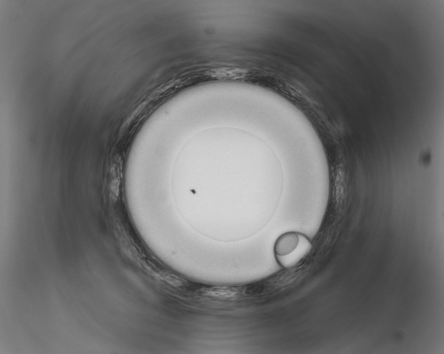 X0000115110370200912081326