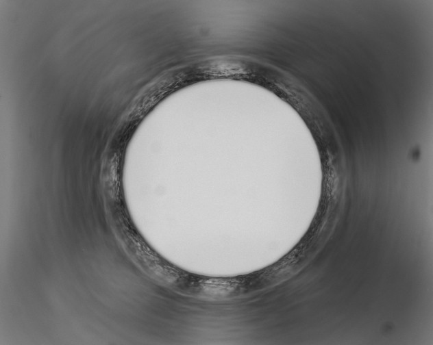 X0000115110373200912081327