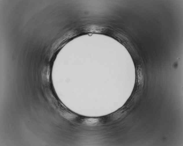 X0000115110374200912081327