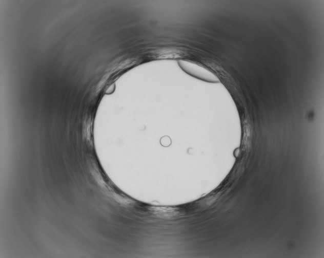 X0000115110379200912081327