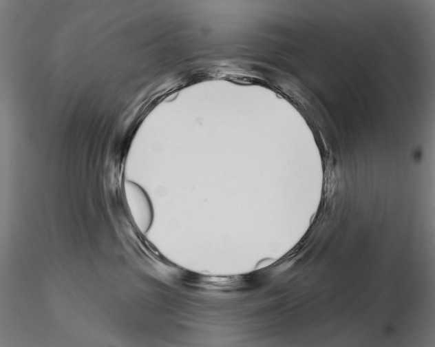 X0000115110381200912081327