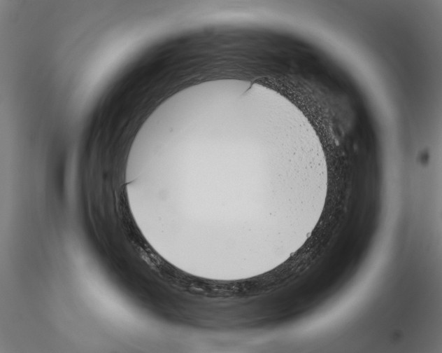 X0000115110382200912081327