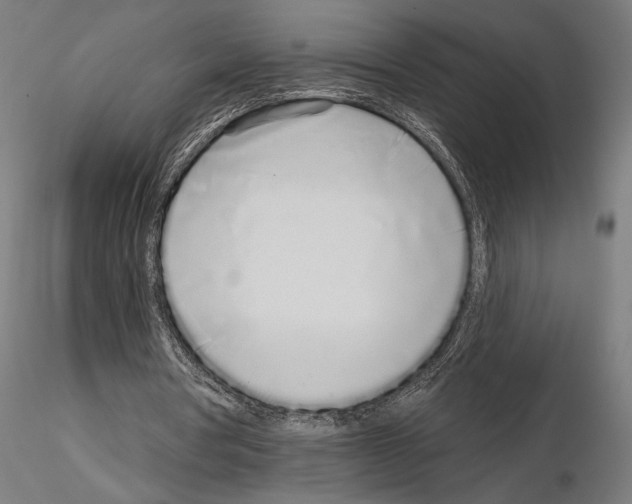 X0000115110386200912081326