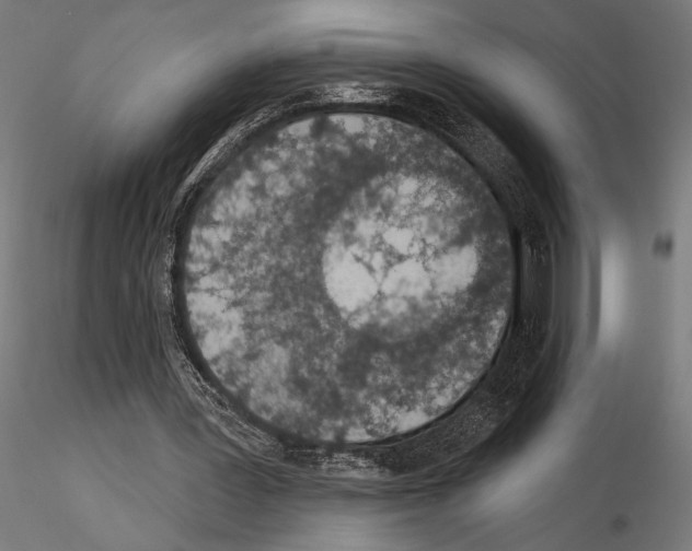 X0000115110387200912081326