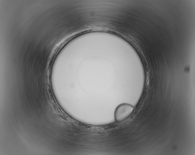 X0000115110388200912081326