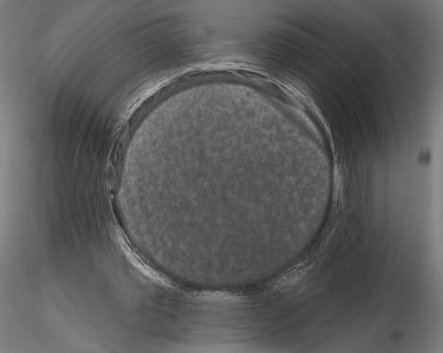 X0000115110389200912081326