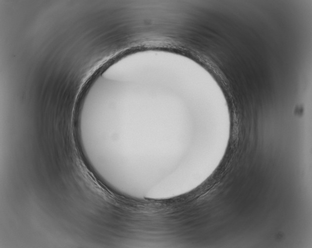 X0000115110391200912081326