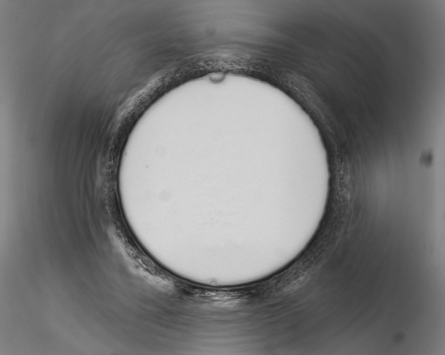 X0000115110395200912081326