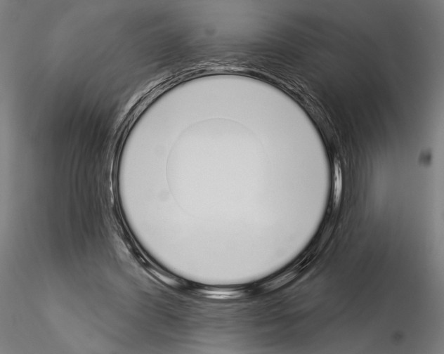 X0000115110396200912081326