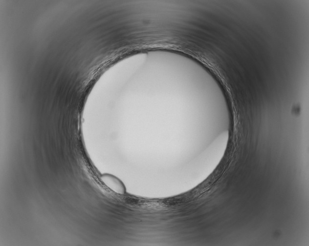 X0000115110397200912081326