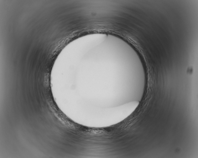 X0000115110401200912081326