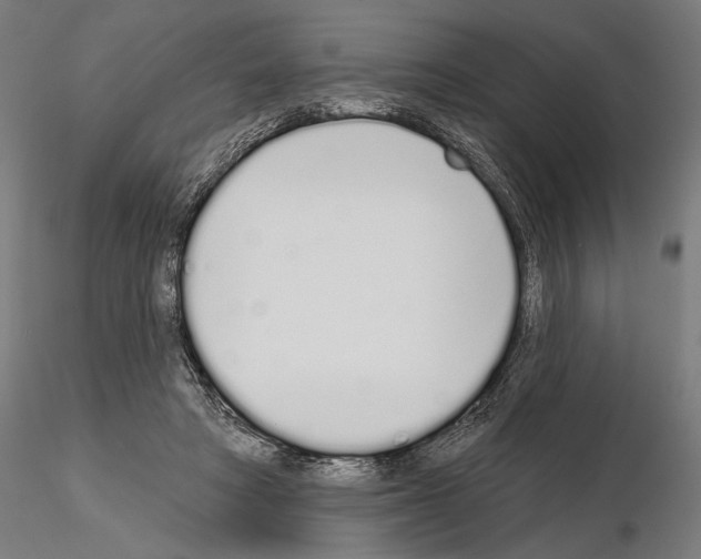 X0000115110402200912081326