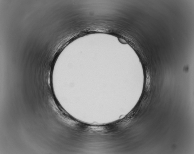 X0000115110403200912081326