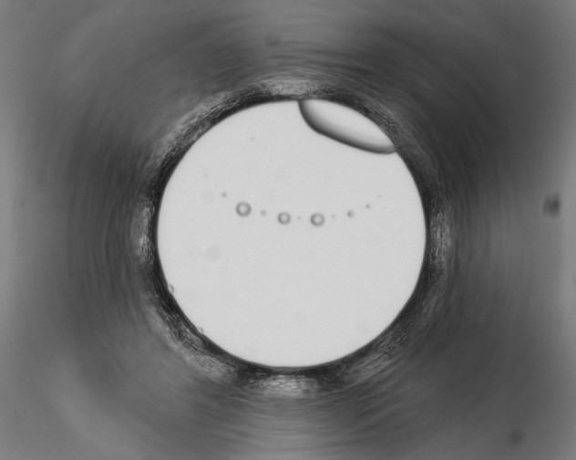 X0000115110404200912081326