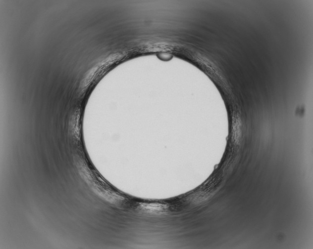 X0000115110407200912081326