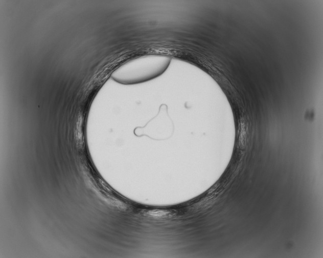 X0000115110408200912081326