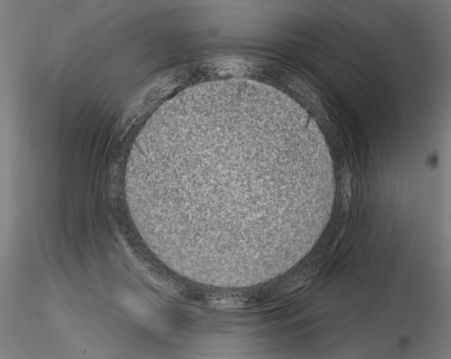 X0000115110410200912081326