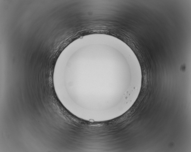 X0000115110411200912081326