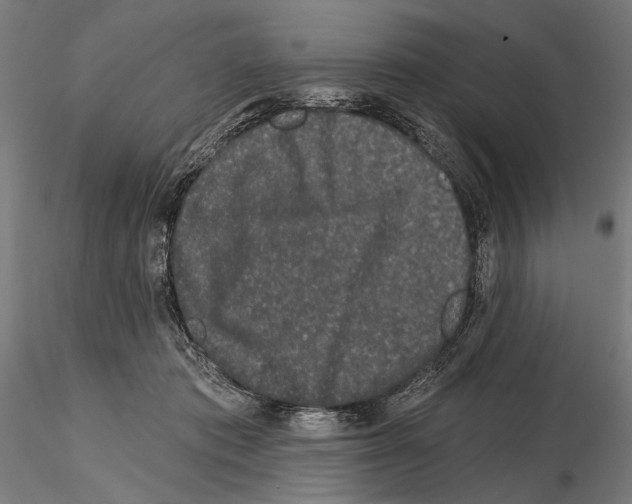 X0000115110413200912081326