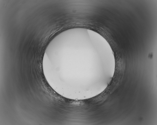 X0000115110415200912081326