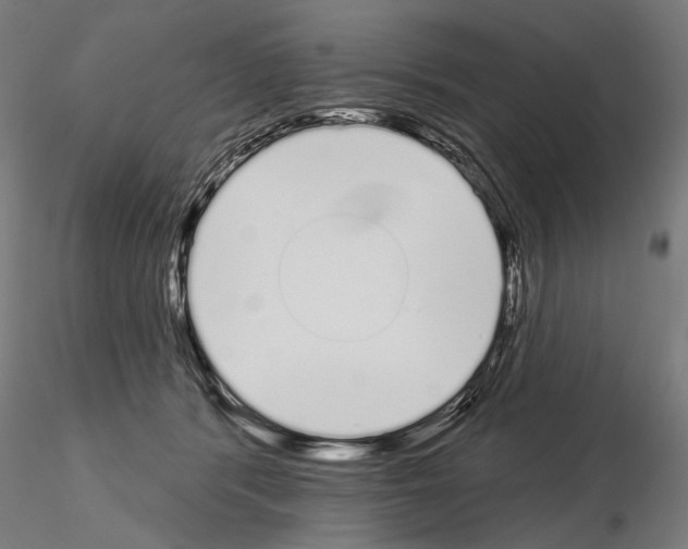 X0000115110416200912081326