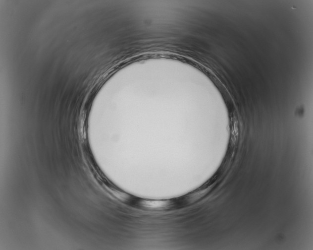 X0000115110424200912081325