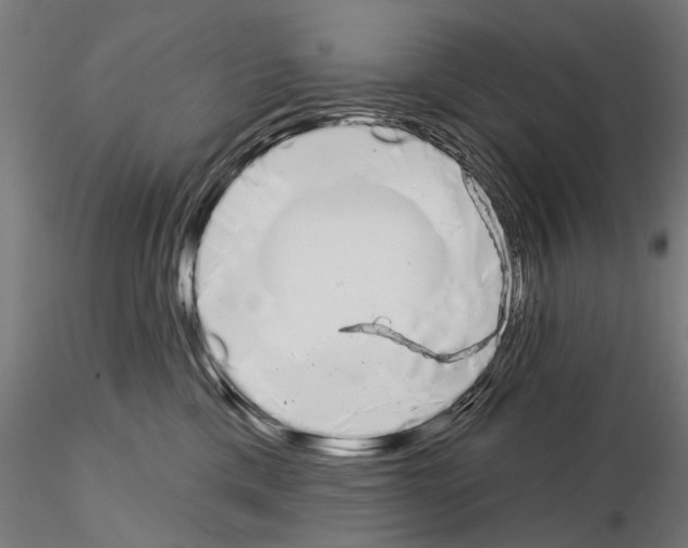 X0000115110425200912081325