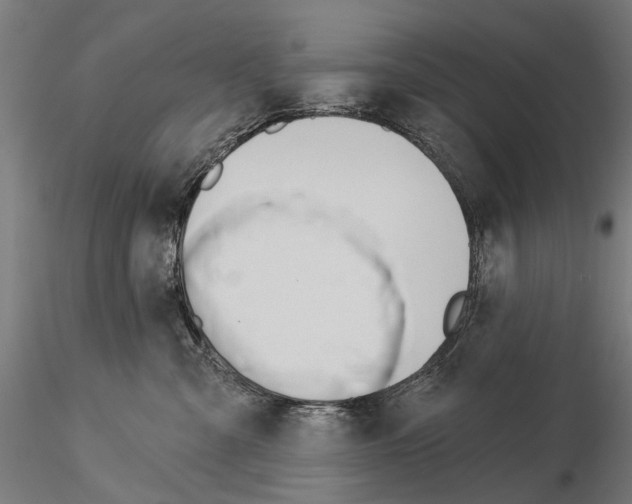 X0000115110427200912081325