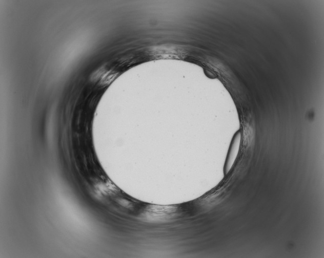 X0000115110429200912081325