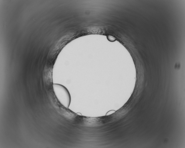 X0000115110432200912081325