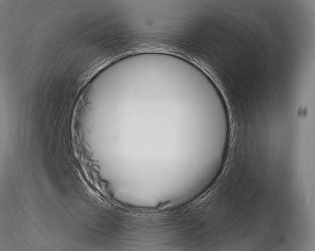 X0000115110433200912081325