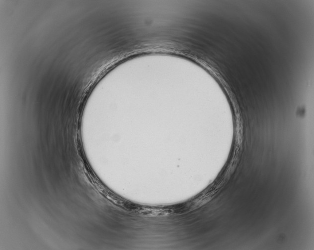 X0000115110434200912081325