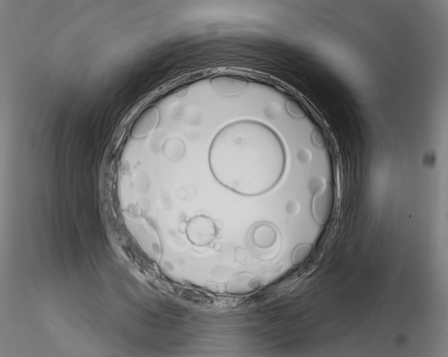 X0000115110435200912081325