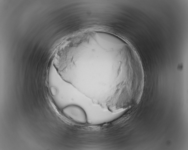 X0000115110437200912081325