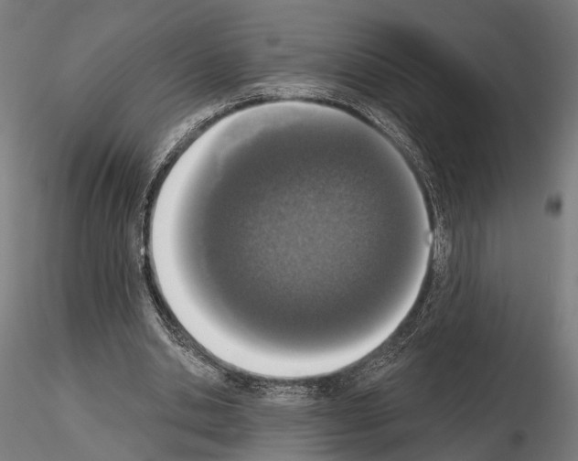 X0000115110438200912081325