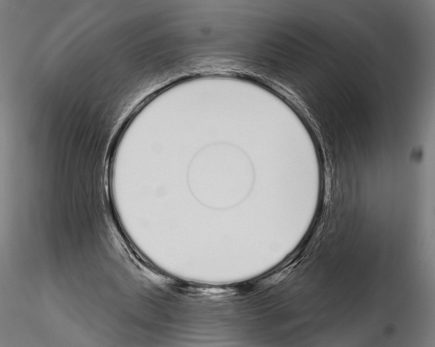 X0000115110439200912081325