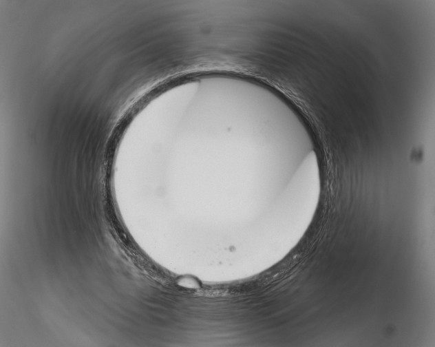 X0000115110440200912081325