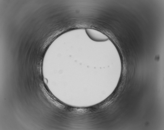 X0000115110441200912081325