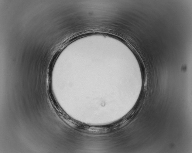 X0000115110444200912081325