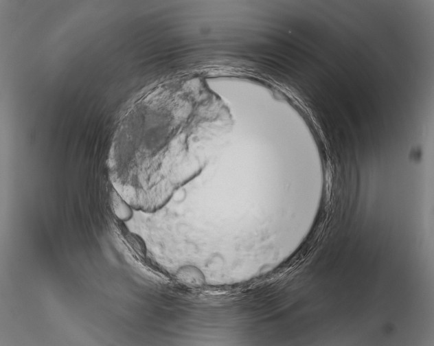 X0000115110445200912081325